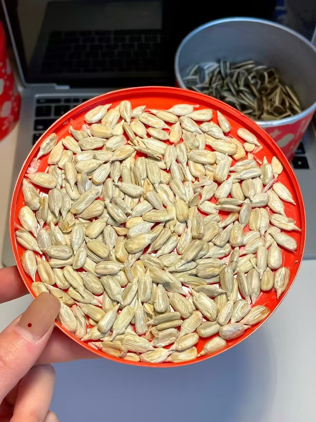 三胖蛋食品旗舰店:23.9元! 【好物】三胖蛋原香五香怀旧瓜子4罐炒货葵花籽休闲零食2025新货-2