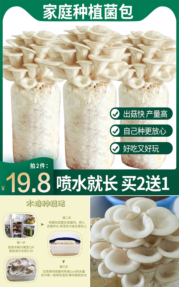 【拍2件】新鲜食用菌菌种菌包3个9斤