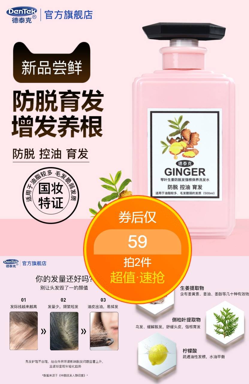 【第二件0元】德泰克生姜防脱洗发水
