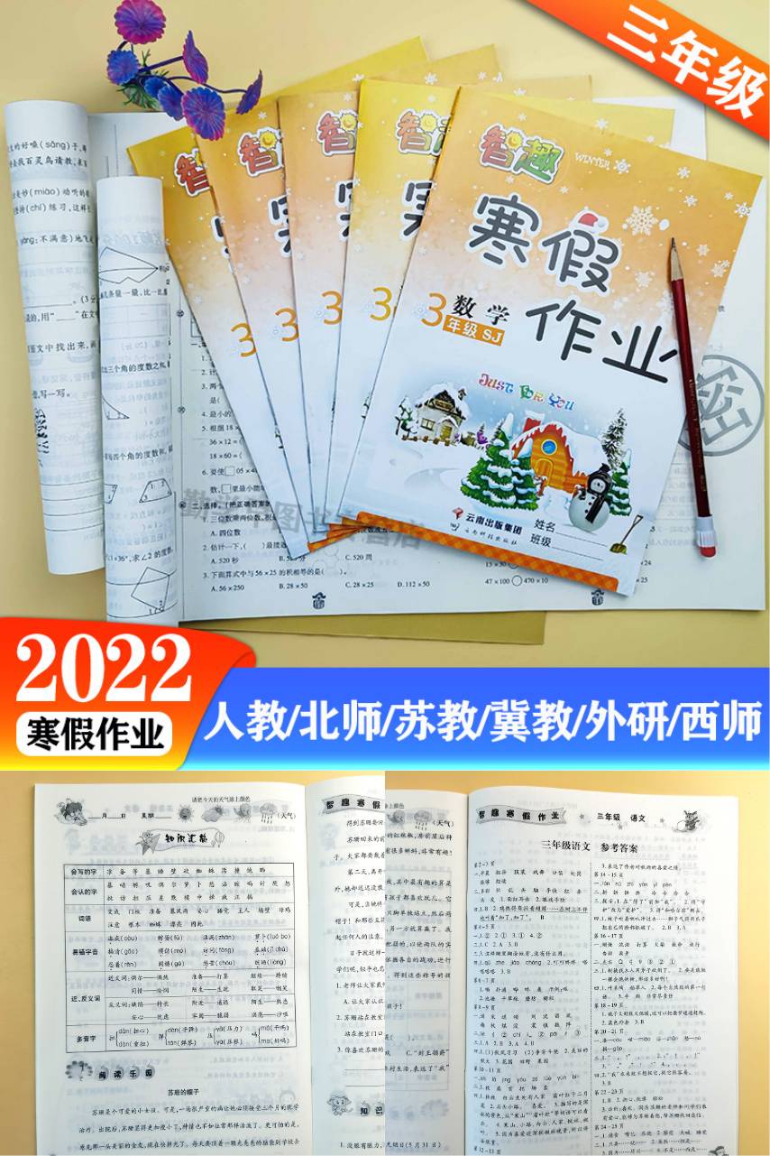 2022新版三年级智趣寒假作业