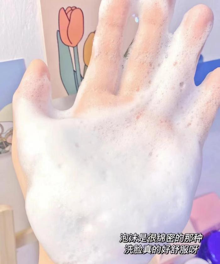 植物医生山茶花洁面乳120g*2