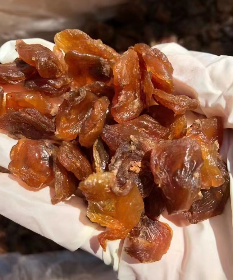 膳言膳语旗舰店:-20.1元! 膳言膳语8A无核免剥桂圆肉福建特产桂圆干零食小包装龙眼肉干新货-4