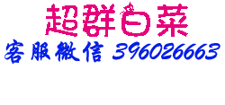 超群白菜