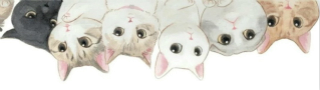 自助查券网