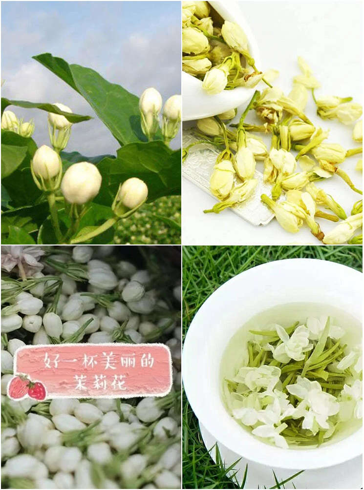 【郡望堂号】特级浓香型茉莉花茶 大淘客联盟