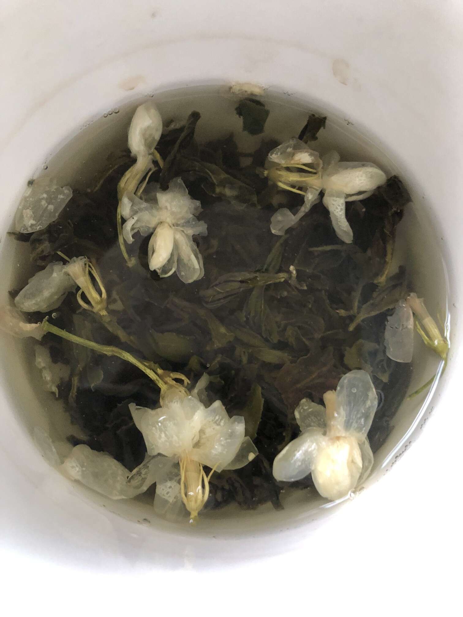 【郡望堂号】特级浓香型茉莉花茶 大淘客联盟