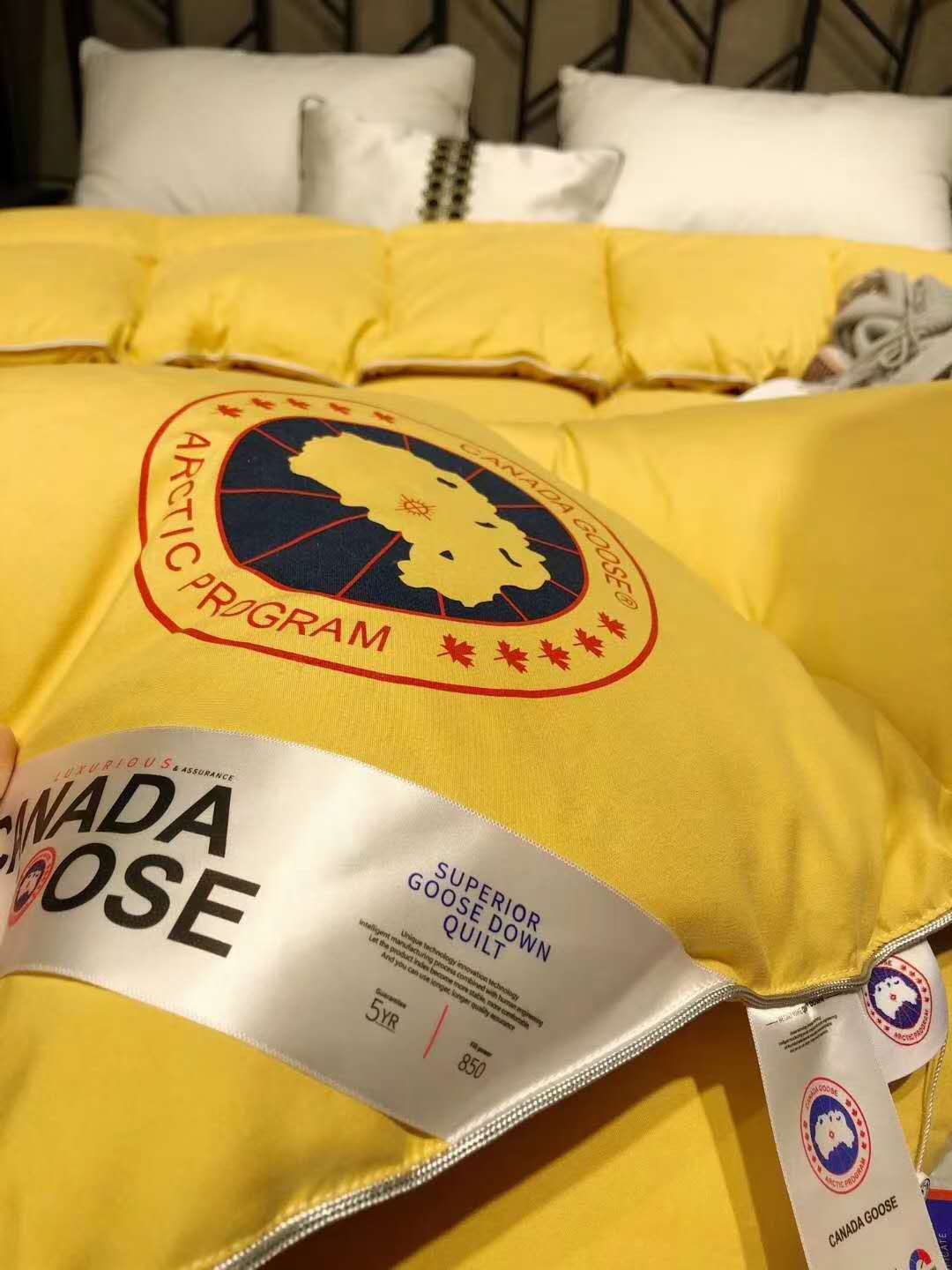 【加拿大鹅】全尺寸加厚保暖羽绒被 大淘客联盟