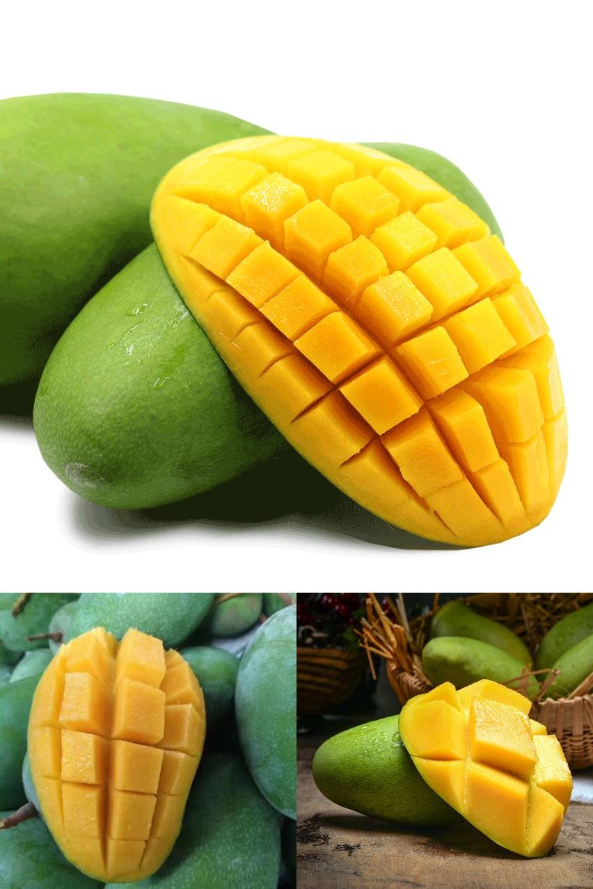 视频素材朋友圈素材社群素材加入收藏累计0评价全天02小时0月销0销量