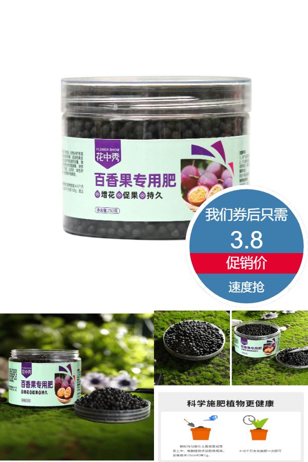 盆栽通用型 鸡蛋果TOP