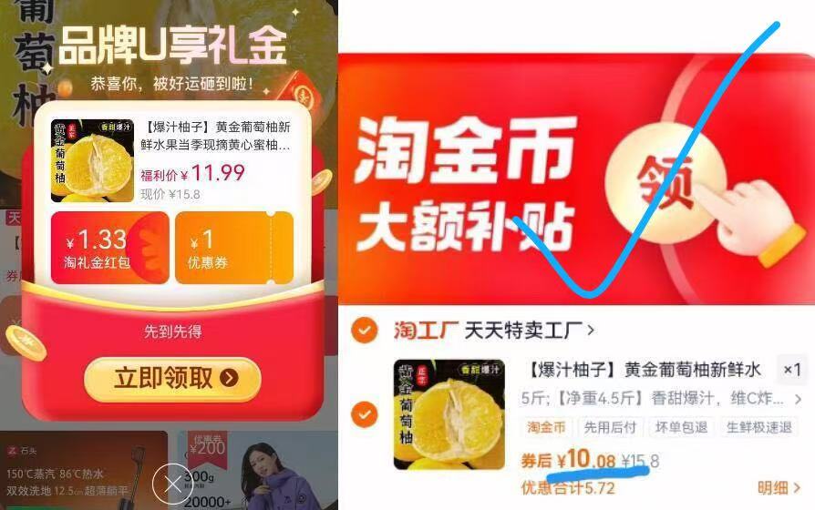 福建黄金葡萄柚4.5-5斤