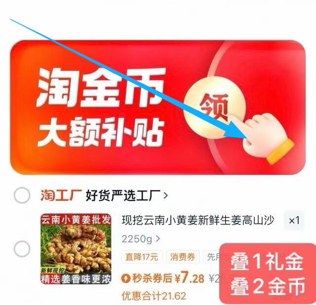 新鲜生姜现挖云南小黄姜4.5斤