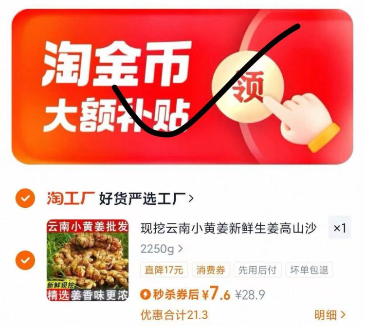 新鲜生姜现挖云南小黄姜4.5斤