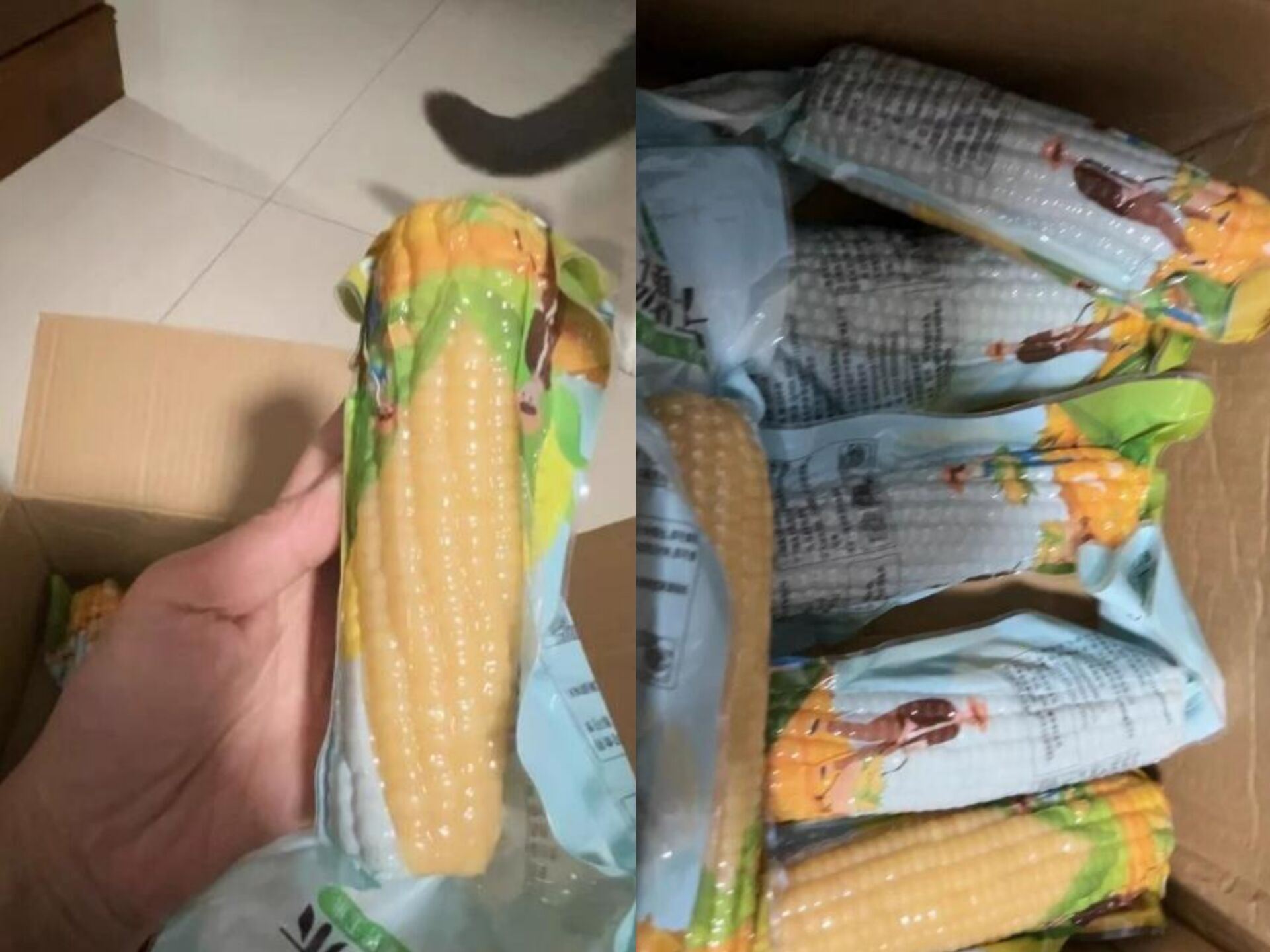 【8根】世际德力甜糯玉米