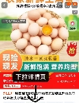 涢安现捡新鲜土鸡蛋【40克*50枚】