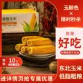 长白山博斯糯9号黄玉米220-240g*10支