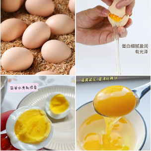 涢安现捡新鲜土鸡蛋【40克*50枚】