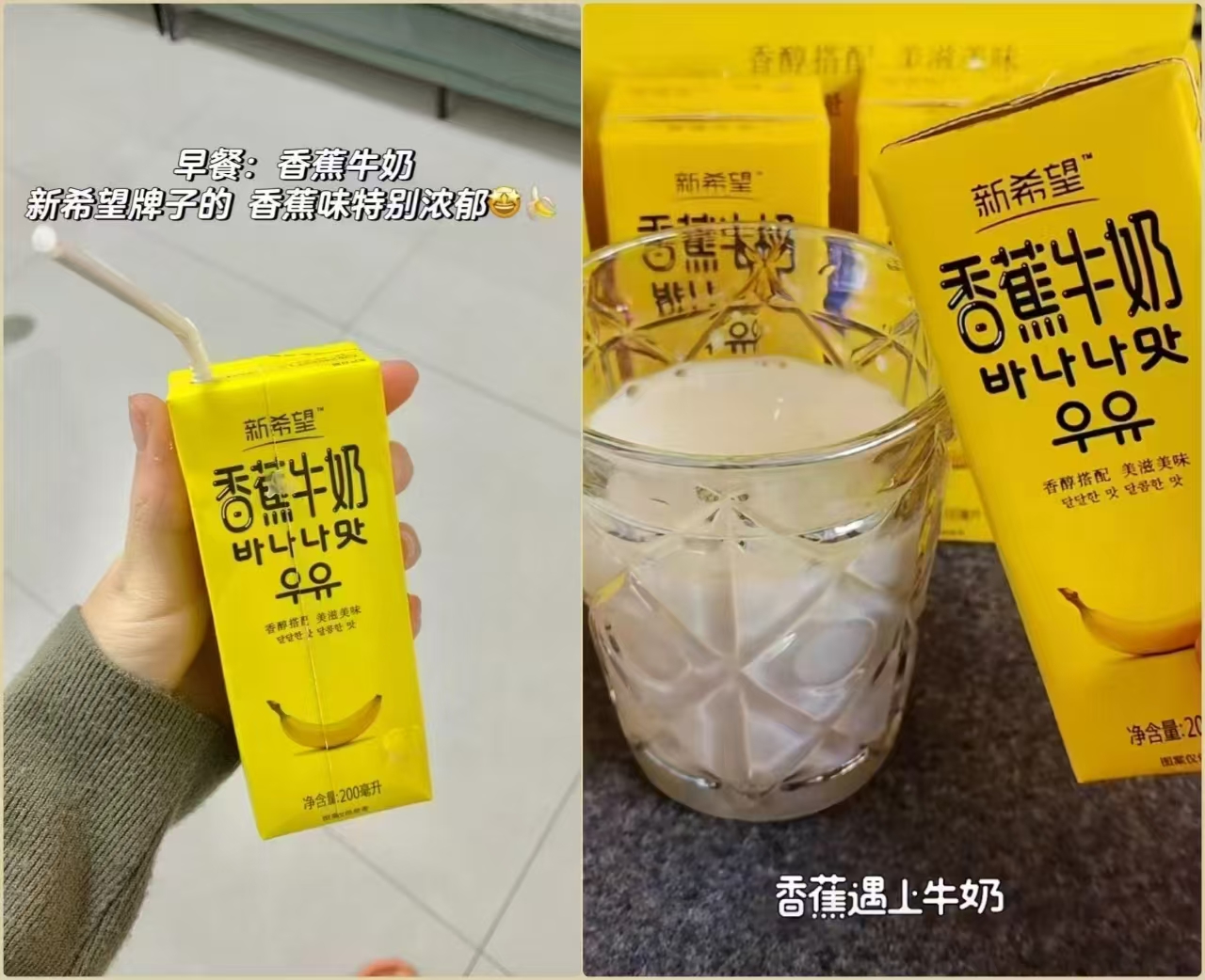 新希望香蕉牛奶200mlx12盒