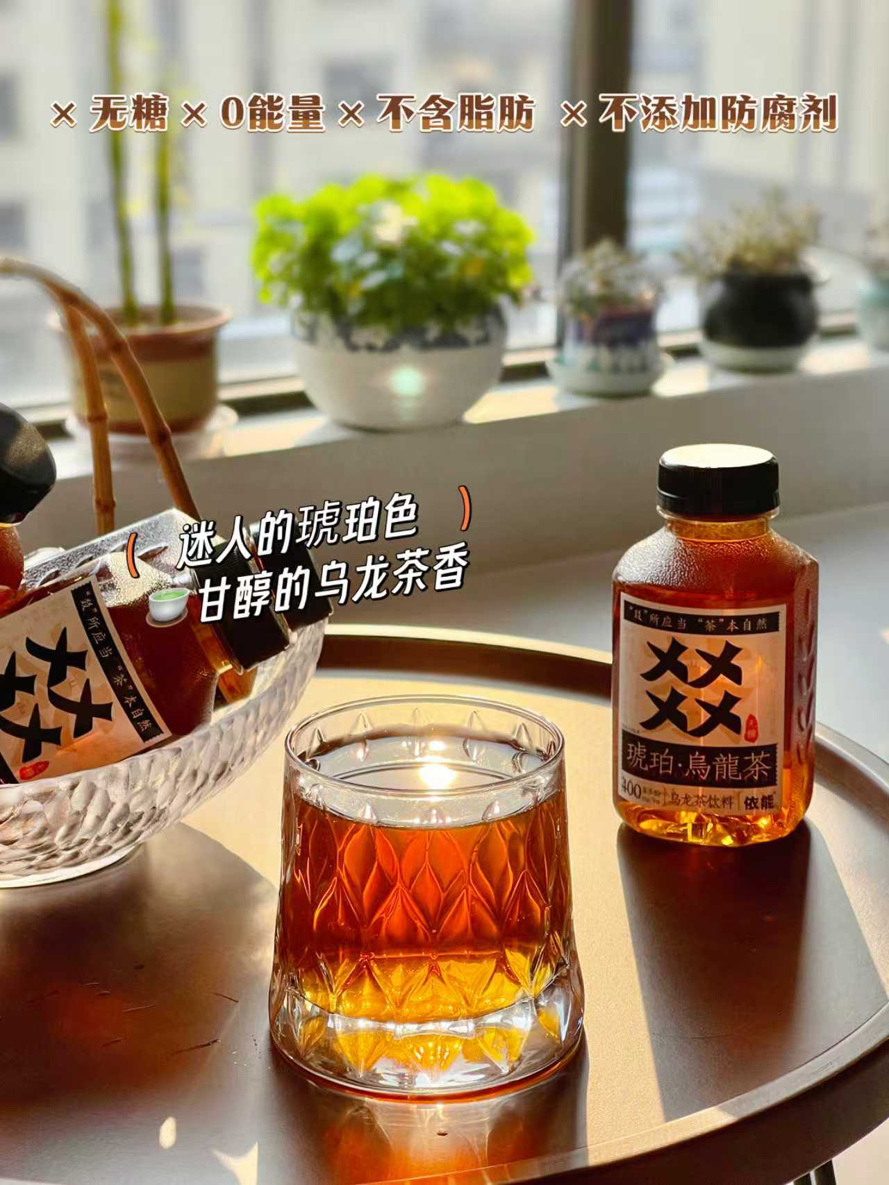 依能！琥珀无糖肉桂乌龙茶饮350ml×6瓶