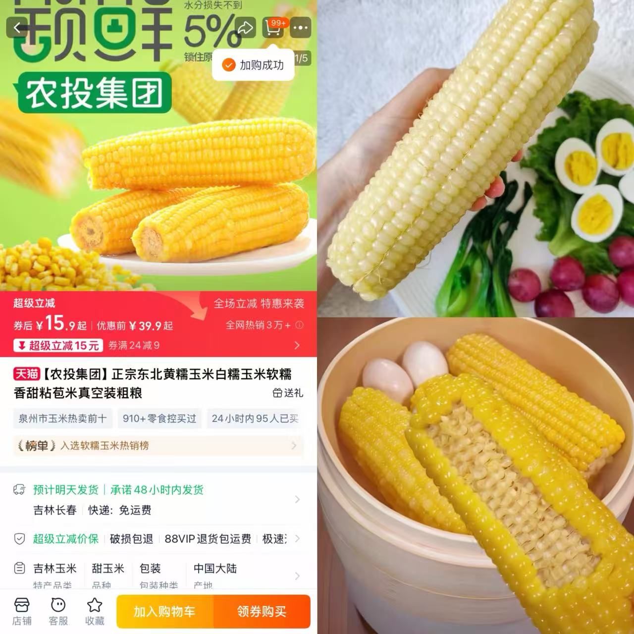 【农投】东北黄糯玉米280-350g*8棒