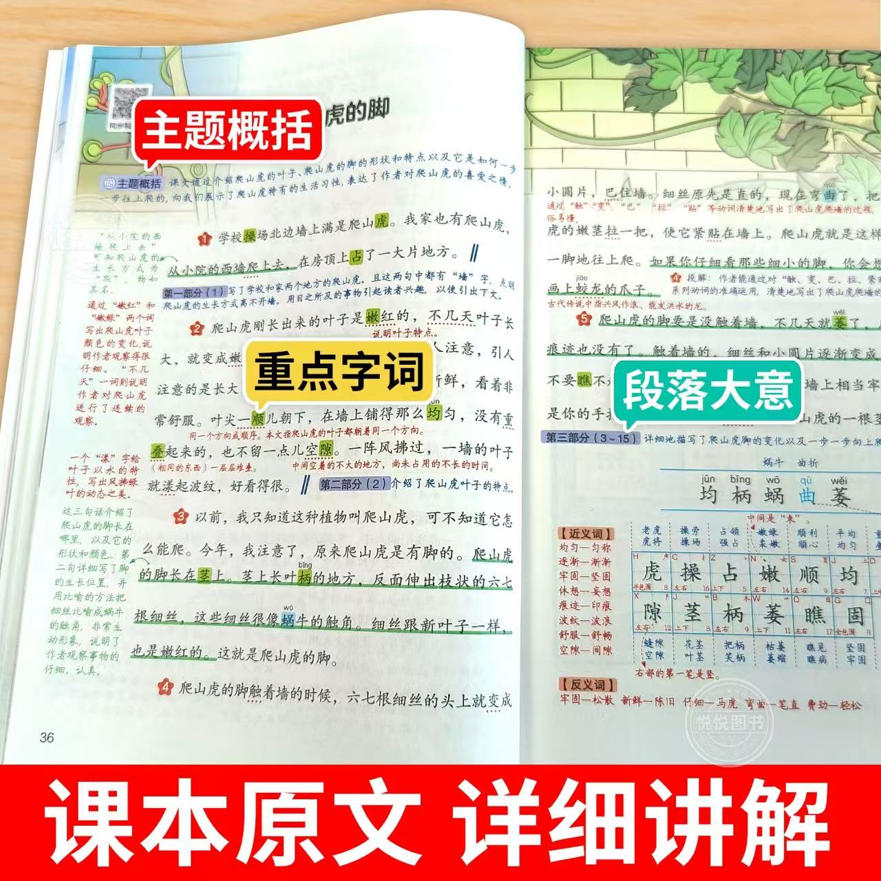 点击查看详情