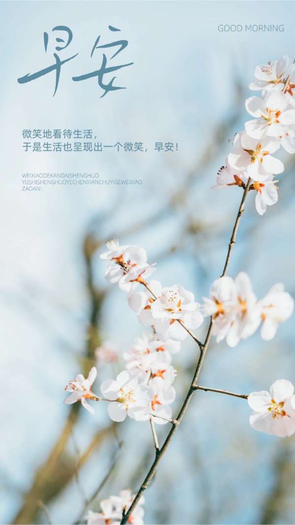 精美笔记本一本随机发货