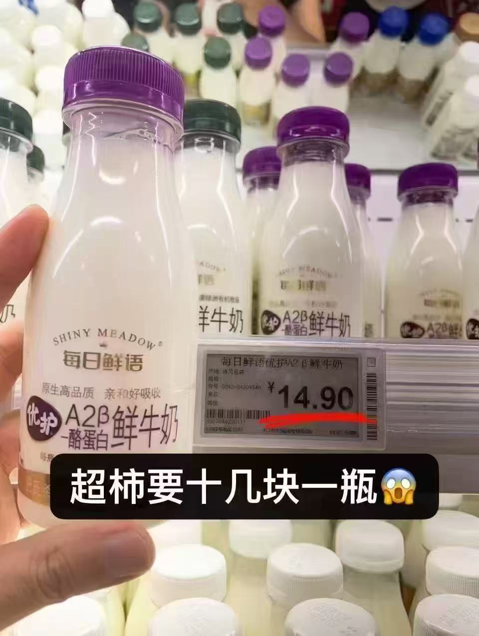 养乐多活菌型乳酸菌100mlX24瓶