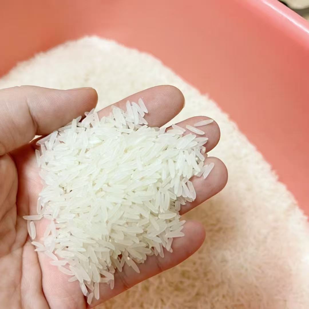 汇谷稼正宗桃花丝苗米新米新粮5kg