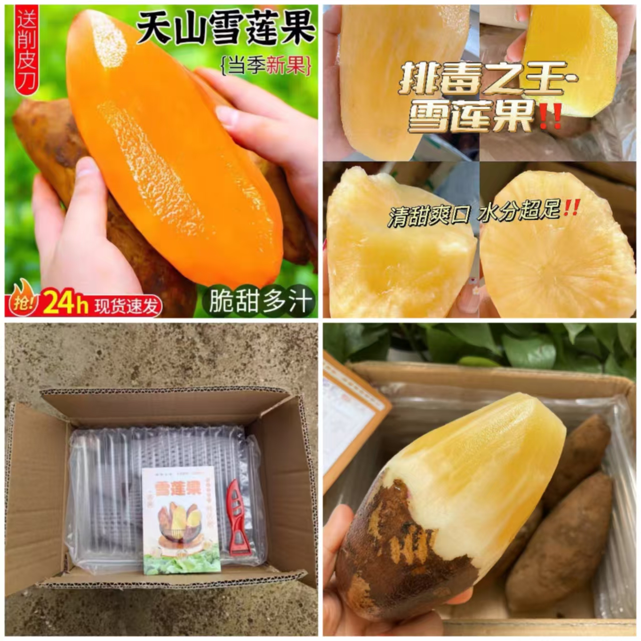 云南天山雪莲果5斤！！！