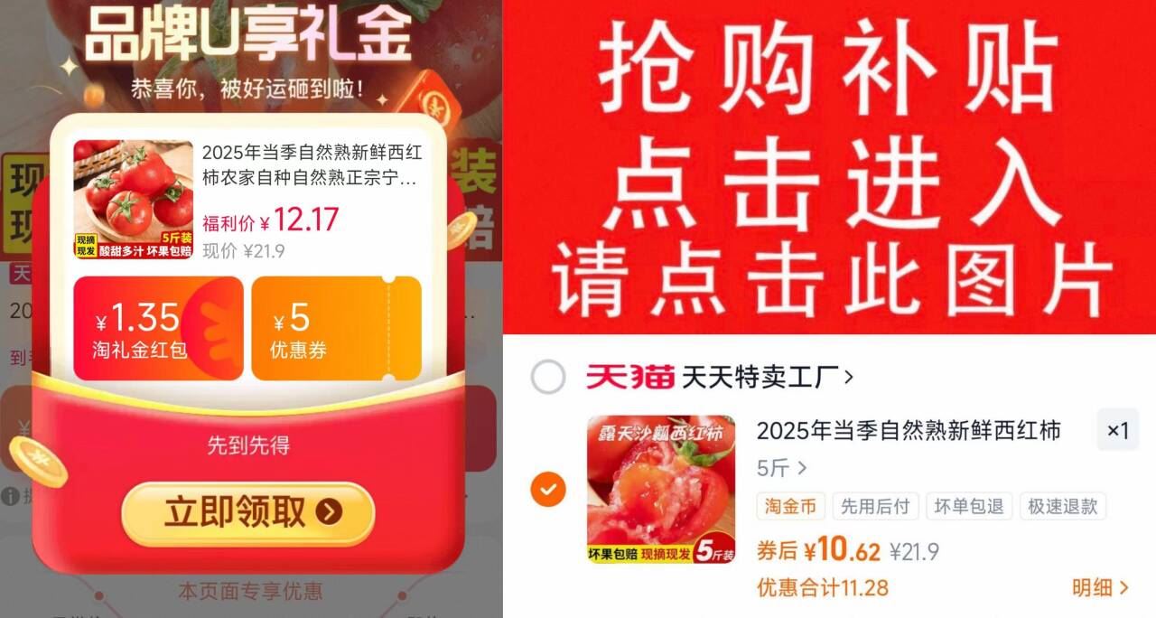 新鲜西红柿带箱5斤！！