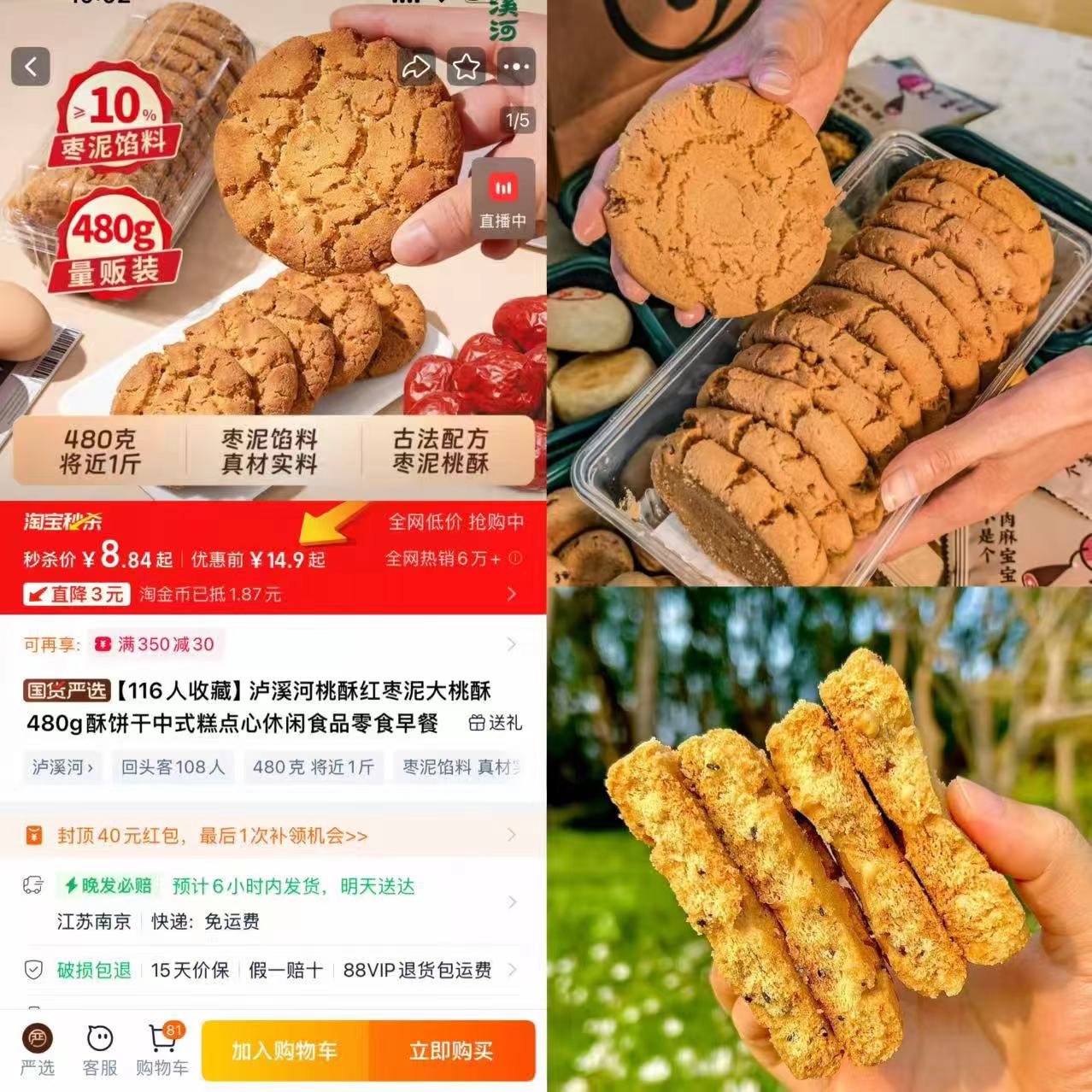 泸溪河桃酥红枣大桃酥480g