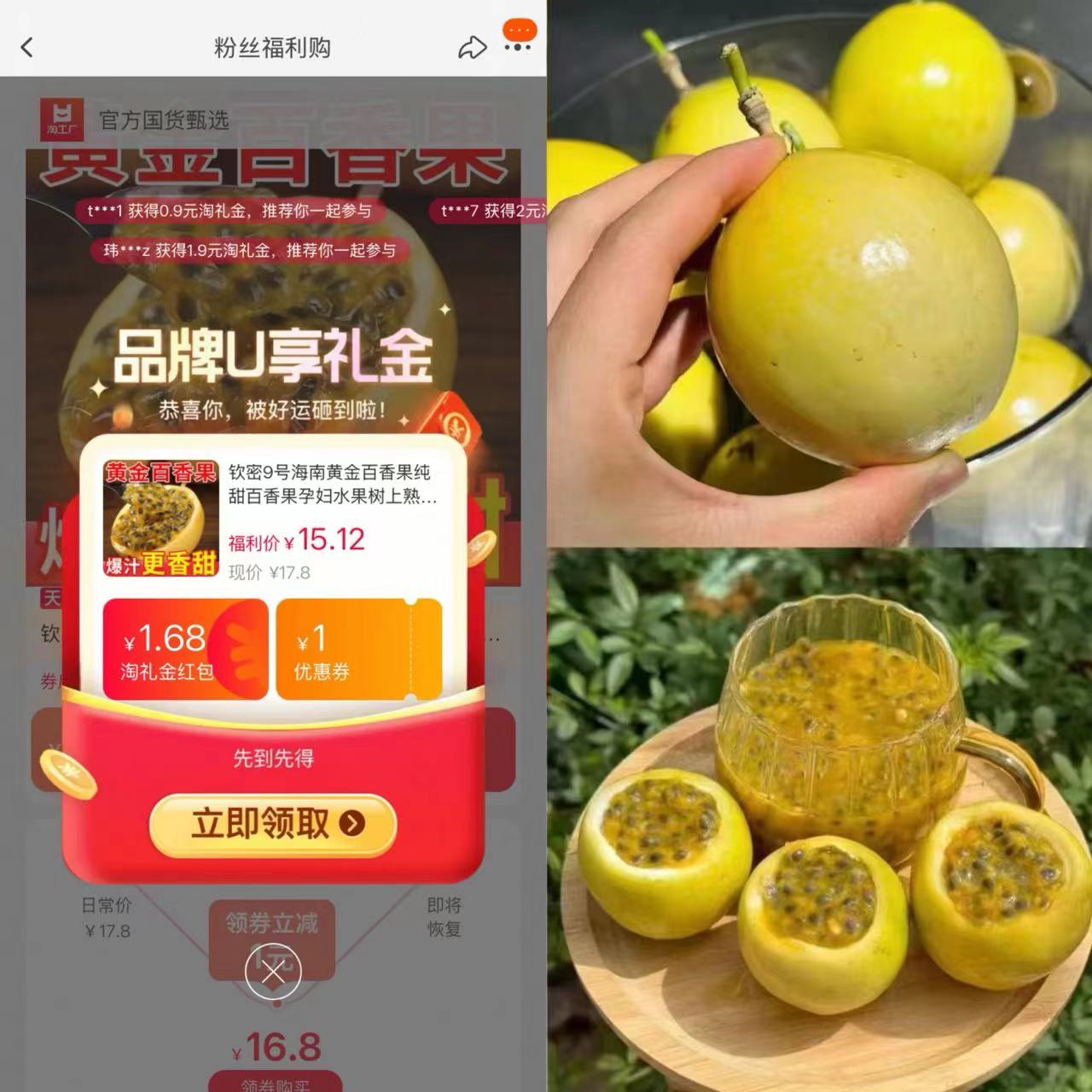 钦蜜九号黄金百香果净重2.5斤