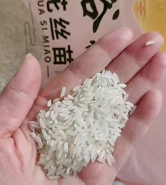 汇谷稼正宗桃花丝苗米新米新粮5kg