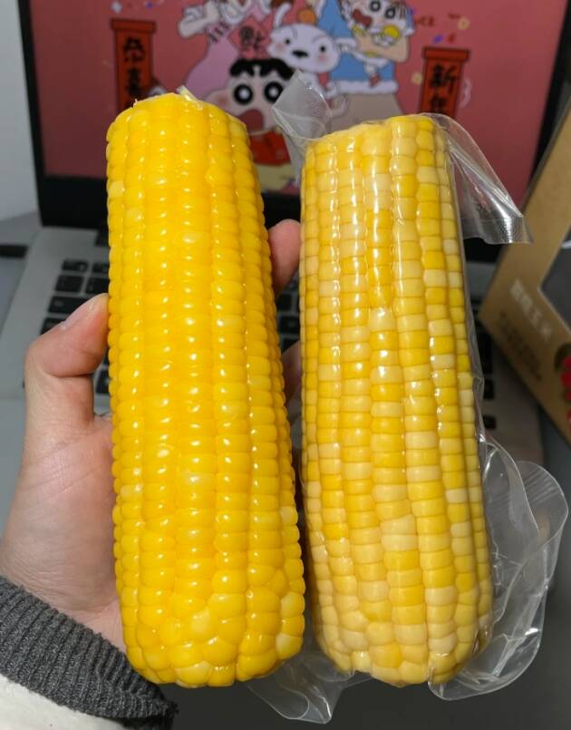 农投！东北黄糯玉米260-320g*8棒