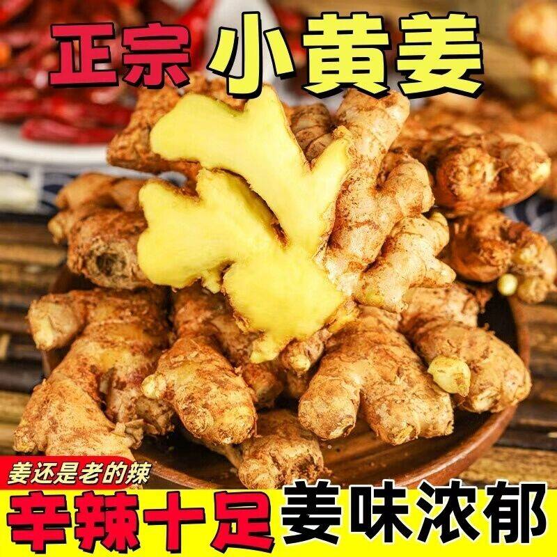 【5斤】正宗云南小黄姜生姜