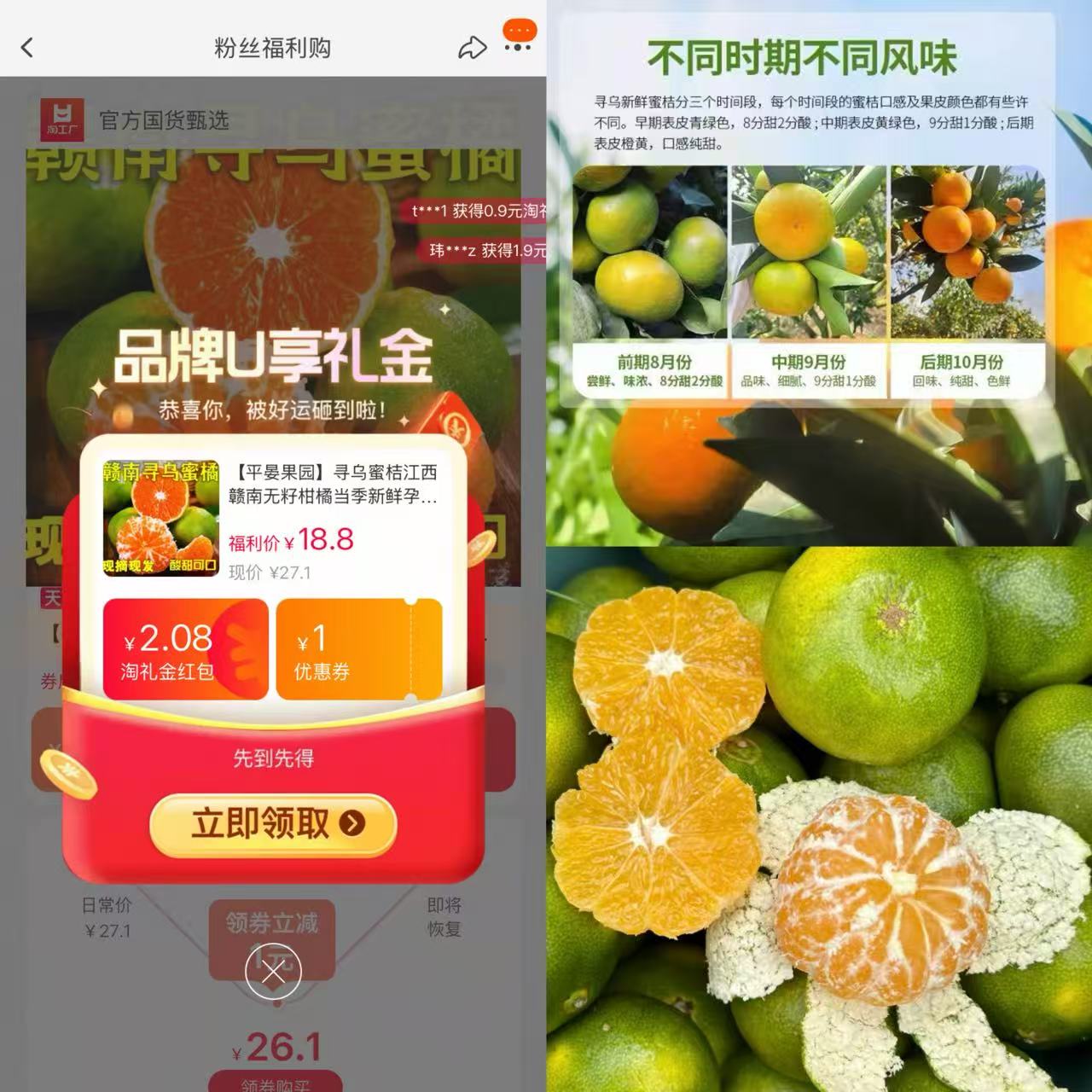 到手15.99！寻乌蜜桔净重4.5斤