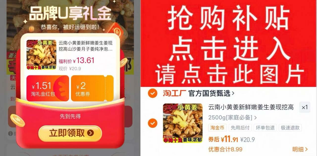 【5斤】正宗云南小黄姜生姜