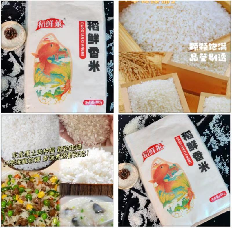 下拉一步到手15.79！东北大米10斤