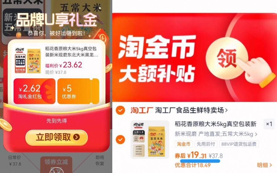 火晶柿子【30枚单果40-70g/只】整箱