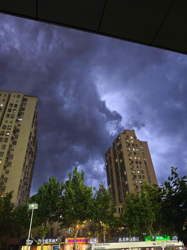 【任选3箱】面包新语吐司/欧包/乳酪多口味