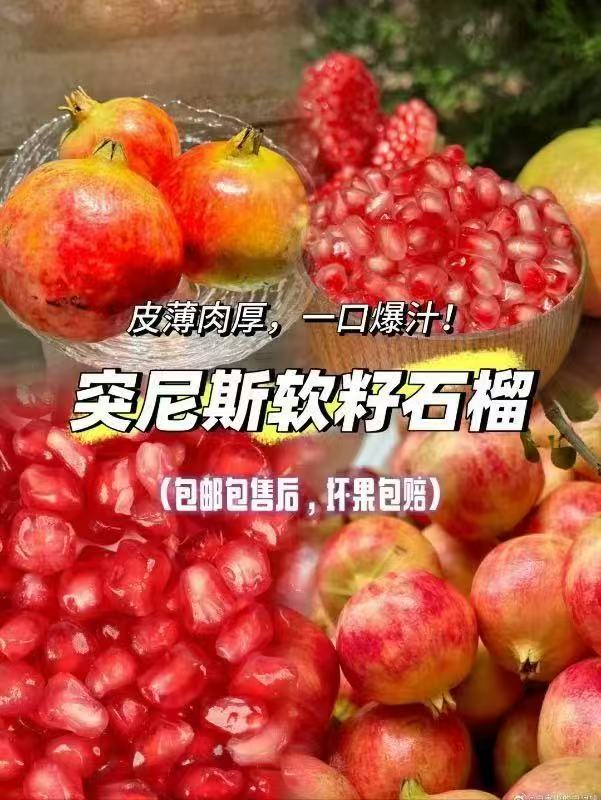 鹰标！GB/T19266珍稻悠远东北五常大米10斤