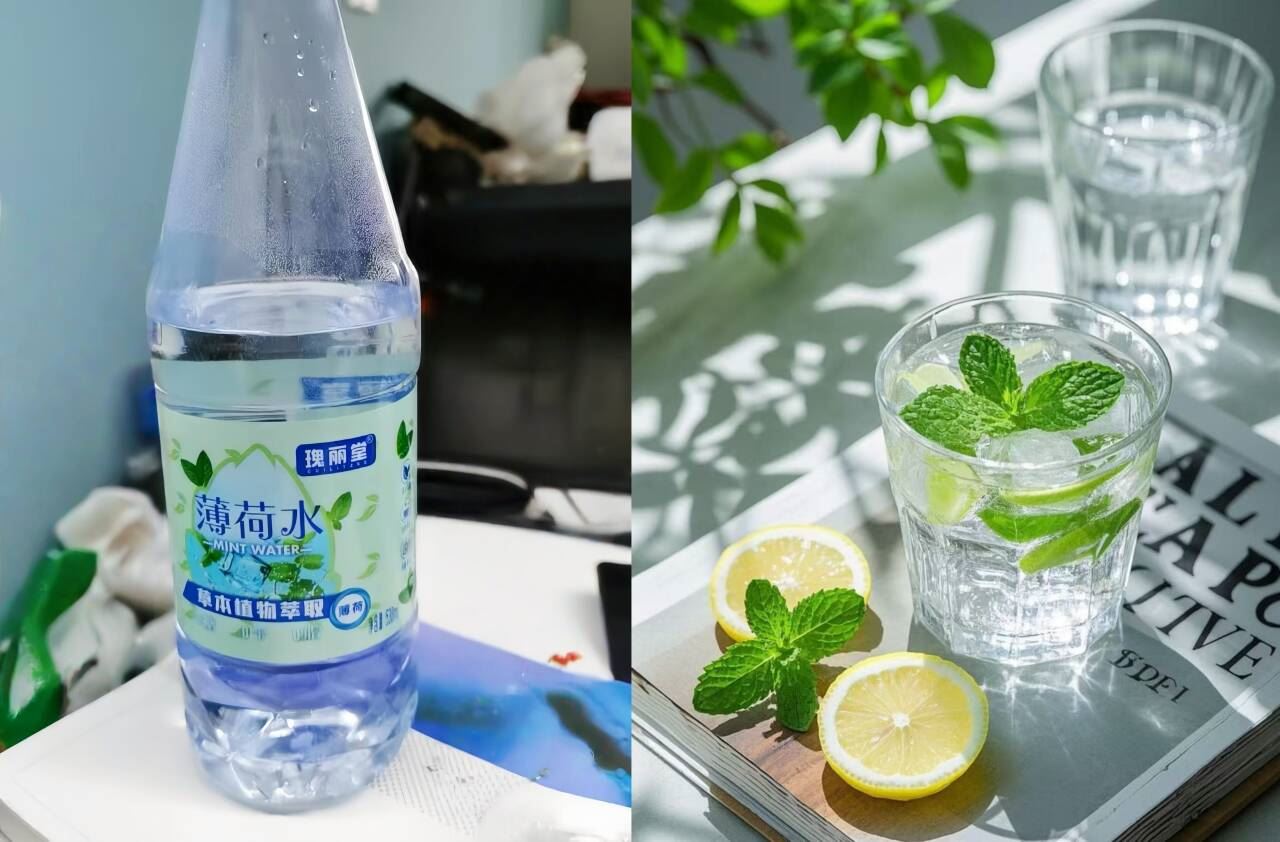 瑰丽堂薄荷水饮料530ml*8瓶