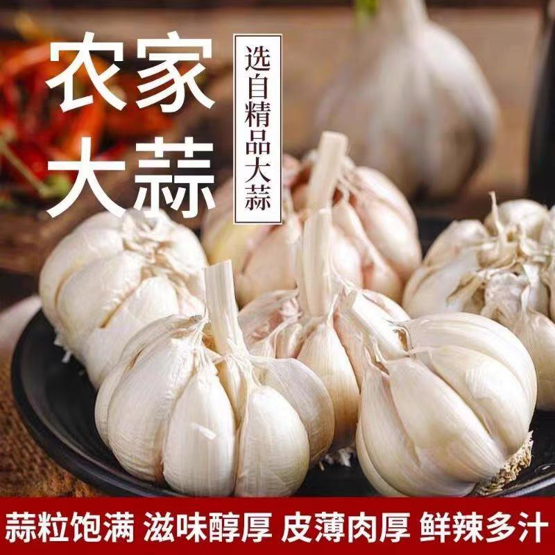 山东白皮干蒜带箱3斤装
