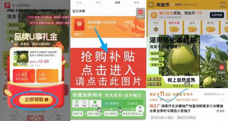 【金币到手11.52】湖南怀化冰糖柚5斤