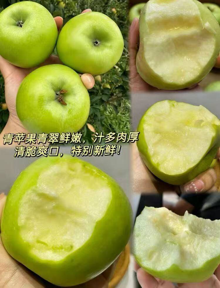陕西当季现摘青苹果4.5斤