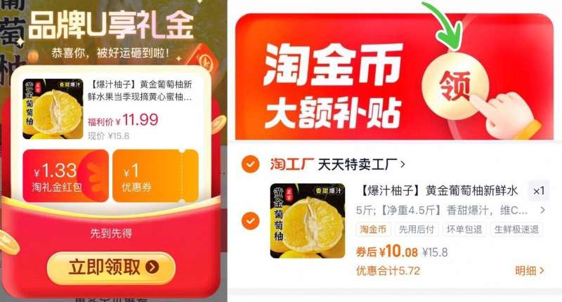 福建黄金葡萄柚4.5-5斤