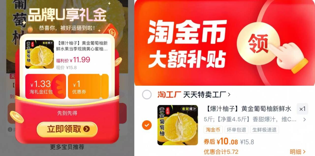 福建黄金葡萄柚4.5-5斤