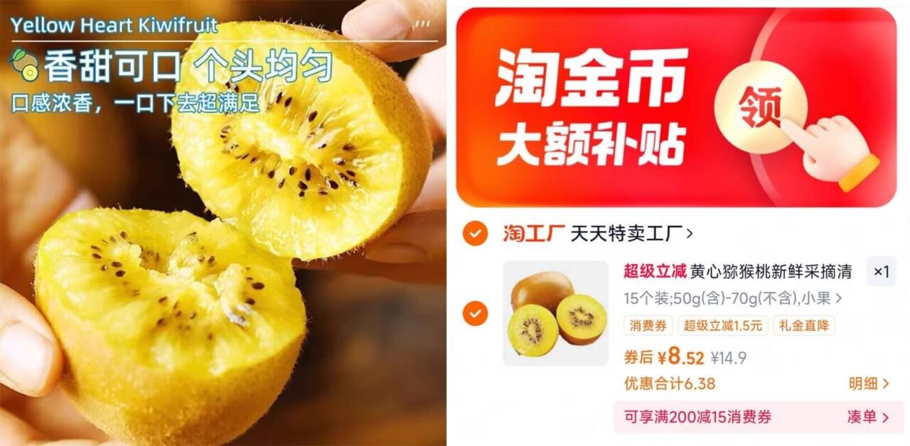 新鲜采摘黄心猕猴桃15个装