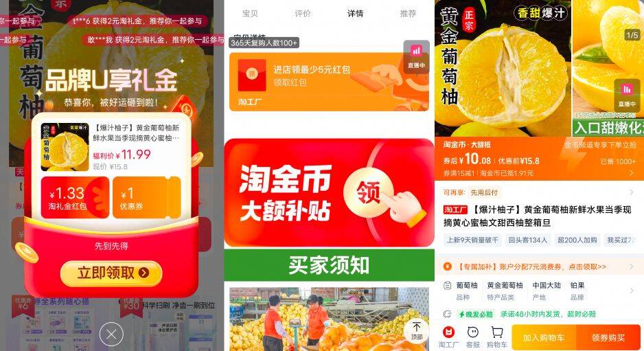 福建黄金葡萄柚4.5-5斤