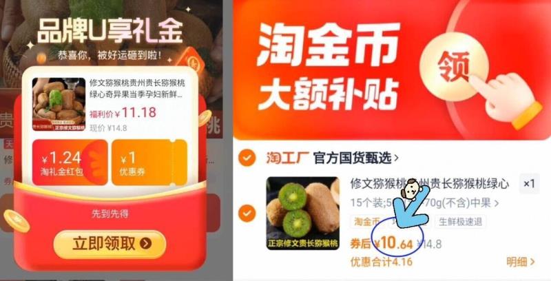 新鲜水果修文猕猴桃中果15枚