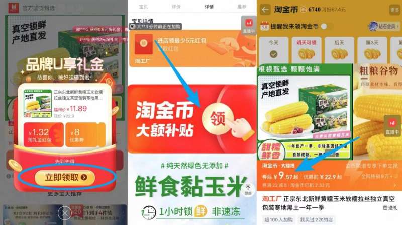 正宗东北头茬黄糯玉米200-220g*8根